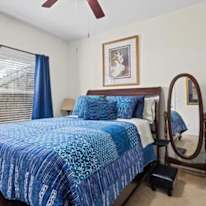 Judy's room