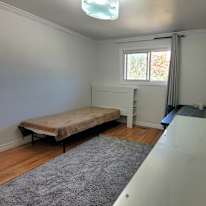 Niloofar Najafkiya's room