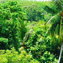 Colompura Alwis's room