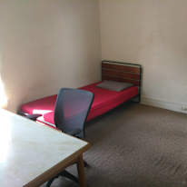 Zed's room