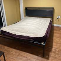 Shelly's room