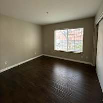 Shawn Idnani's room