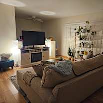 Amy's room