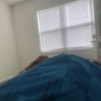 Lee's room