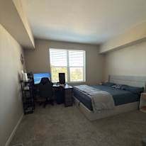 Abhinav's room