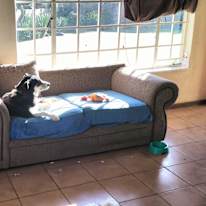Lorraine van der Merwe's room