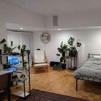 Ellie's room