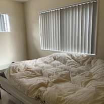 Si Young Jo's room