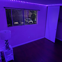 Scarlett's room