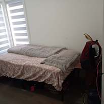 Alice's room