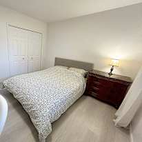 Shahram's room