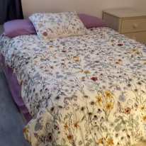 Amy's room