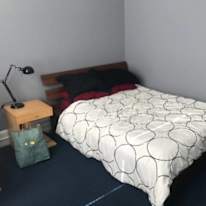 Bright room for rent's room