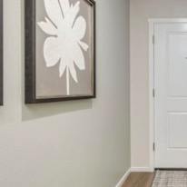 Arsany's room