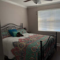 GAB's room