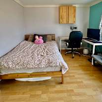 See's room