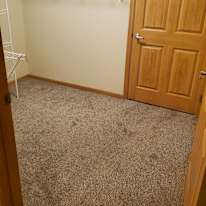 Aarya's room