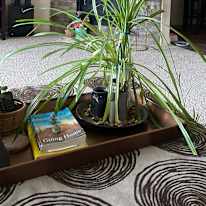 Wendy Watters's room