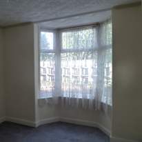 c f's room