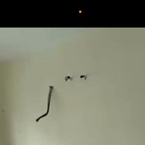 Nandini's room