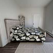 Yang K L's room