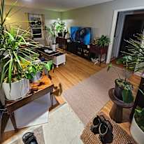 Eli's room