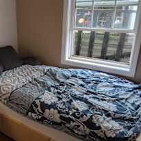 Todd's room