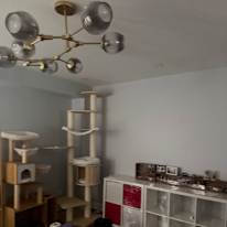 Tracy's room