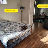 Darrell's room