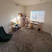 Dev's room