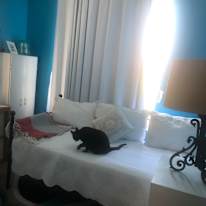 Joyce's room