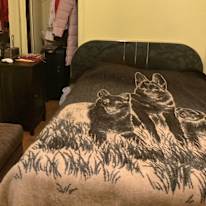Victor's room