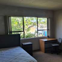 Yan Zhang's room