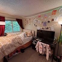 Noah's room