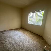 Sammi's room