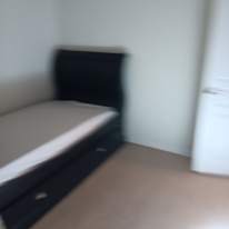 Kaminowitz  adam's room