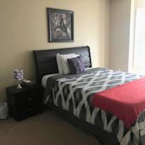 ROHINI DOOKIE's room
