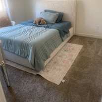 Netty's room
