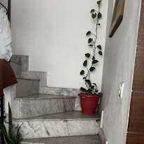 sarika Gupta's room