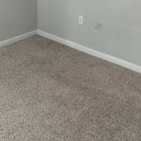Prince's room