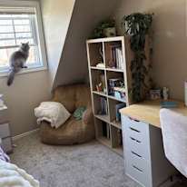 Madison's room