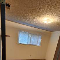 Jacob's room