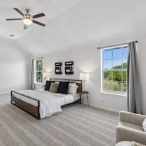 Mary's room