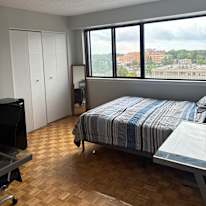 Elli's room