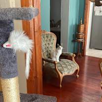 Marli Connoway's room