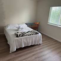 Martin's room