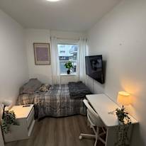Rabia's room