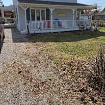 William black's room