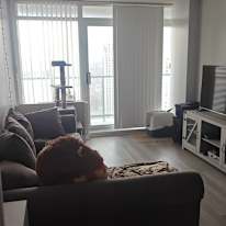 Vaishnavi Ramesh's room