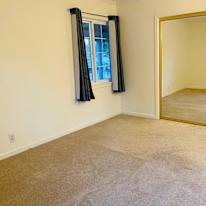 Hanh's room